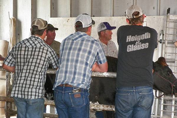 Hands On : Graham School for Cattlemen and Women